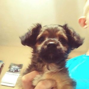 Meet your Posher, Connor